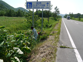 わが村は美しく事業