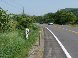 わが村は美しく事業